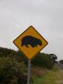 ACHTUNG Wombat