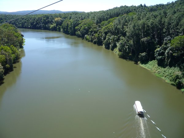 Daintree River