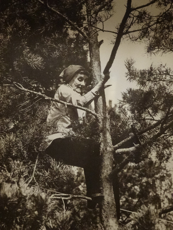Astrid Lindgren am Baum