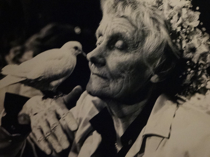 Friedenstaube Astrid Lindgren