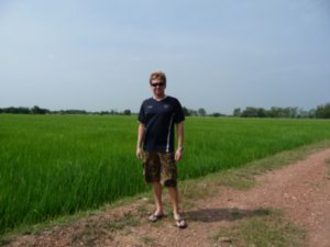 Thailand Ricefield