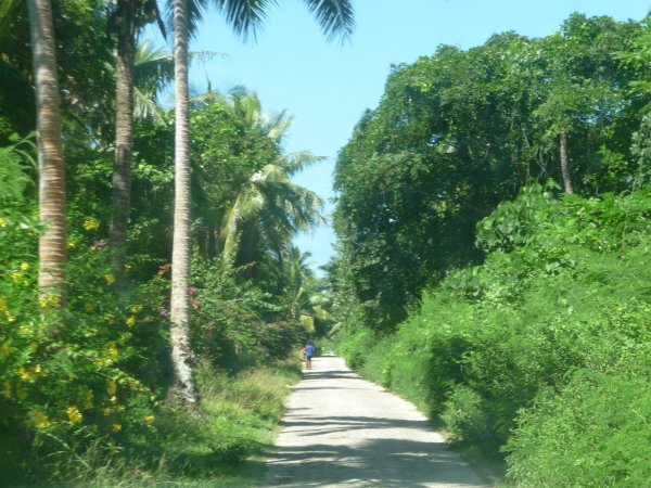 Road on Foa in Ha'apai