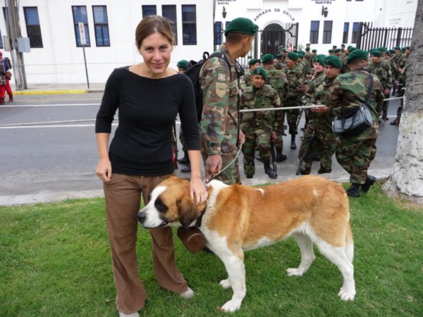 Friendly Military Dog
