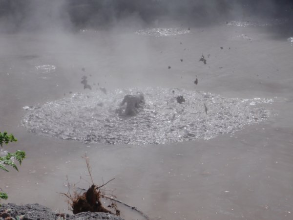 More boiling mud