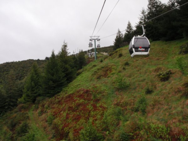 Cable car up to the luge track in Rotorua