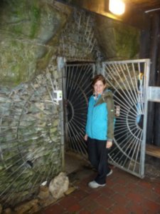 Entering the Waitomo Glowworm Caves