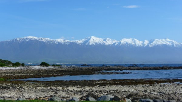 The snow-capped Kaikoura Ranges