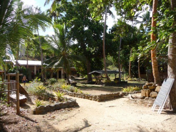 The gardens at Safari Lodge