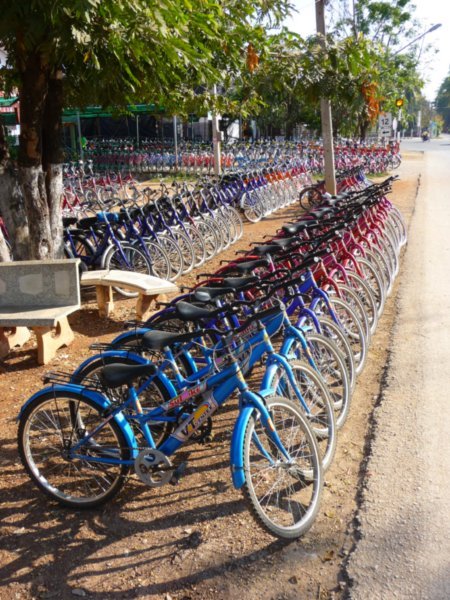 The bike hire place
