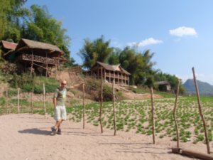 Crops growing on the sandy banks of the Mekong