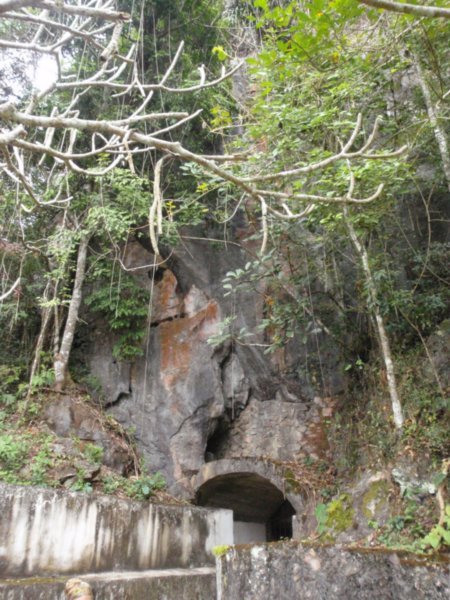 Concealed entrance to the cave