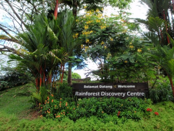 The Rainforest Discovery Centre