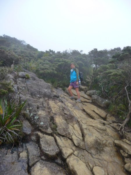 Polly not far from Laban Rata
