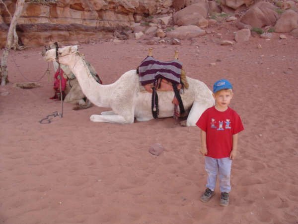 josh and the camel