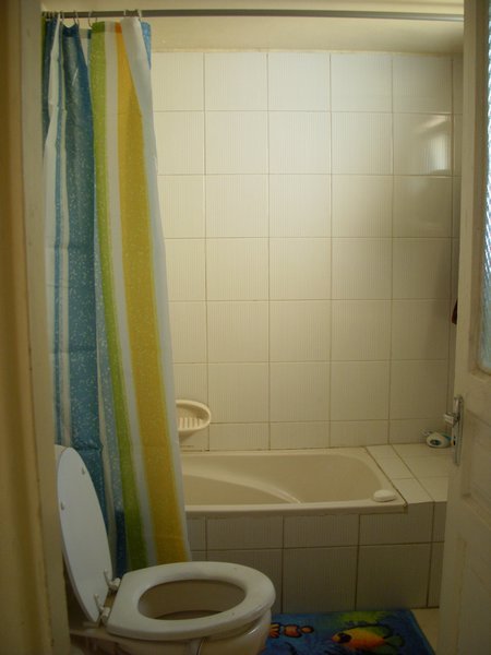 shower curtain success!
