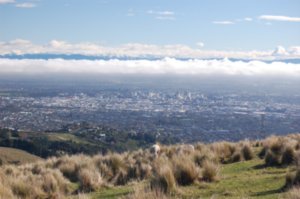 overlooking Christchurch