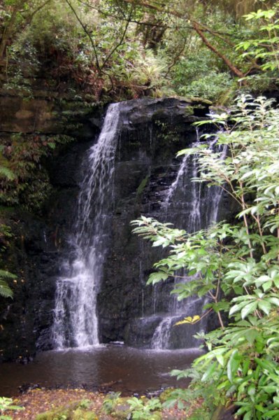 Matai Falls again