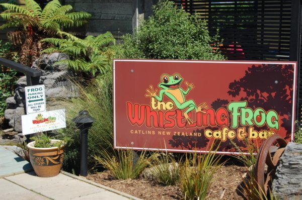 Toadally fun lunch place