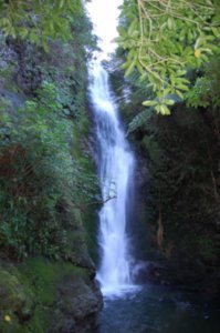 Ohau Falls near Kaikoura