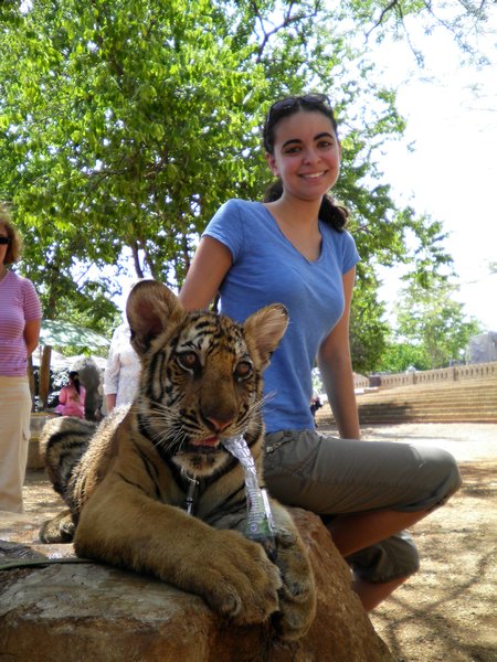 Rachel with a baby tiger