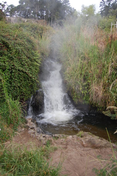 Hot stream in the bush