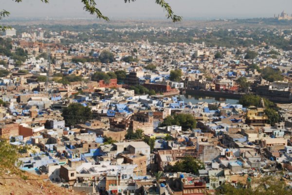 Jodpur - the blue city