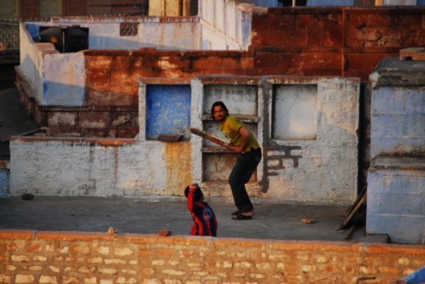 Cricket on the rooftops in Jodhpur