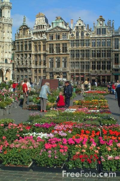 1401 06 78---Flower-Market--Grand-Place-Grote-Markt--Brussels--Belgium web