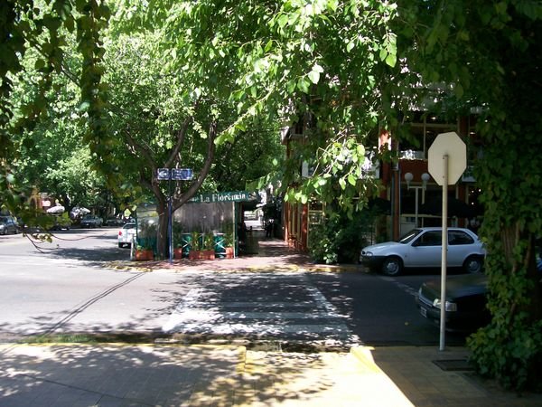 Leafy Streets of Mendoza