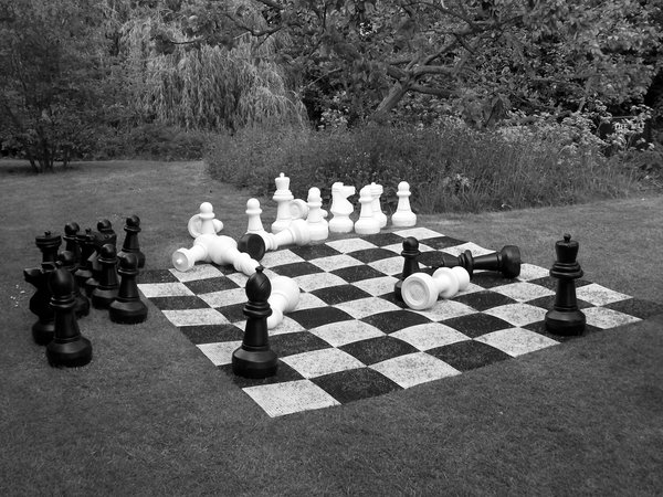 Anyone for Chess?