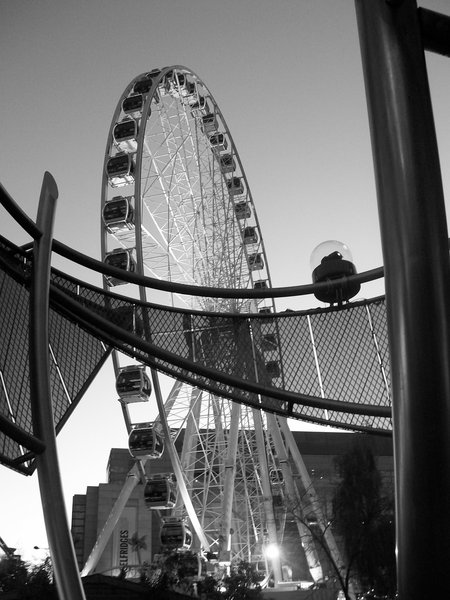 The Manchester Wheel