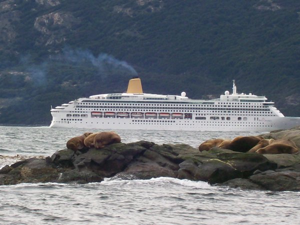 On the Beagle Channel Cruise