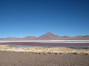 La Laguna Colorada
