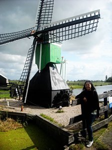 windmill 09