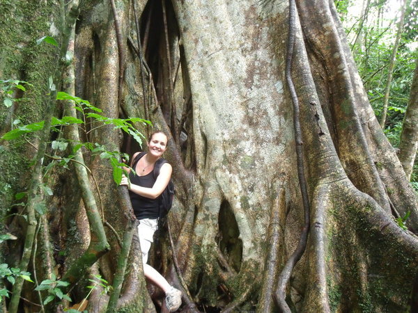 Me in a big tree