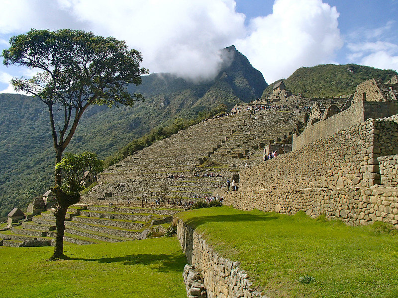 Meandering in Machu Picchu