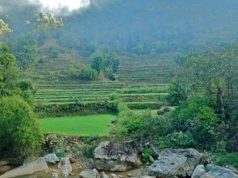 Terraces on the way to Ranighat