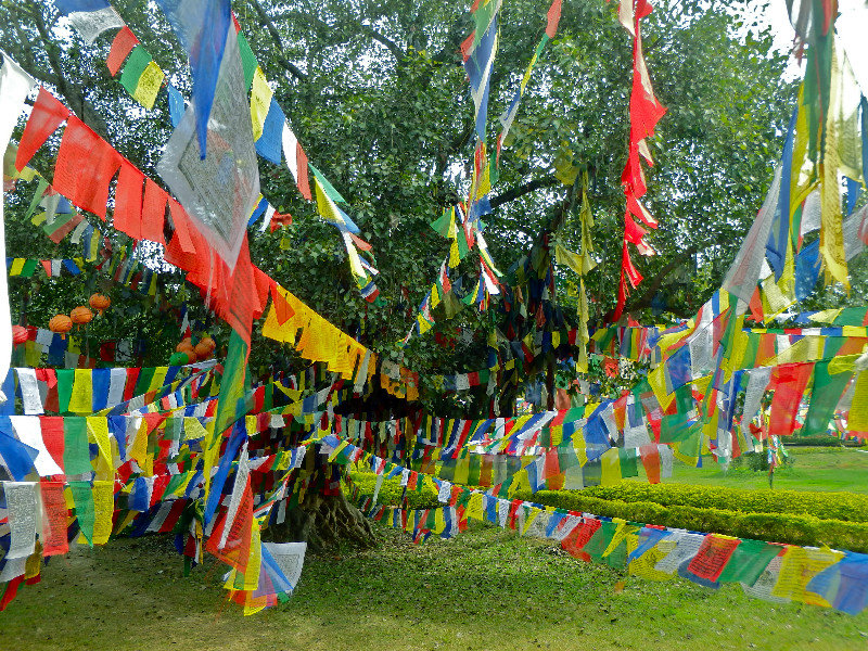 Sacred Garden prayer flags