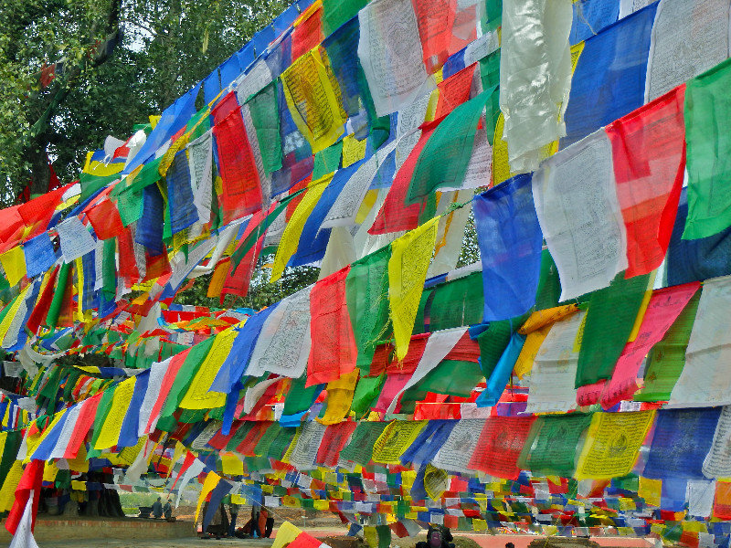 Sacred Garden prayer flags