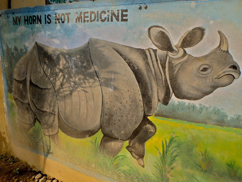 You tell ‘em Rhino!