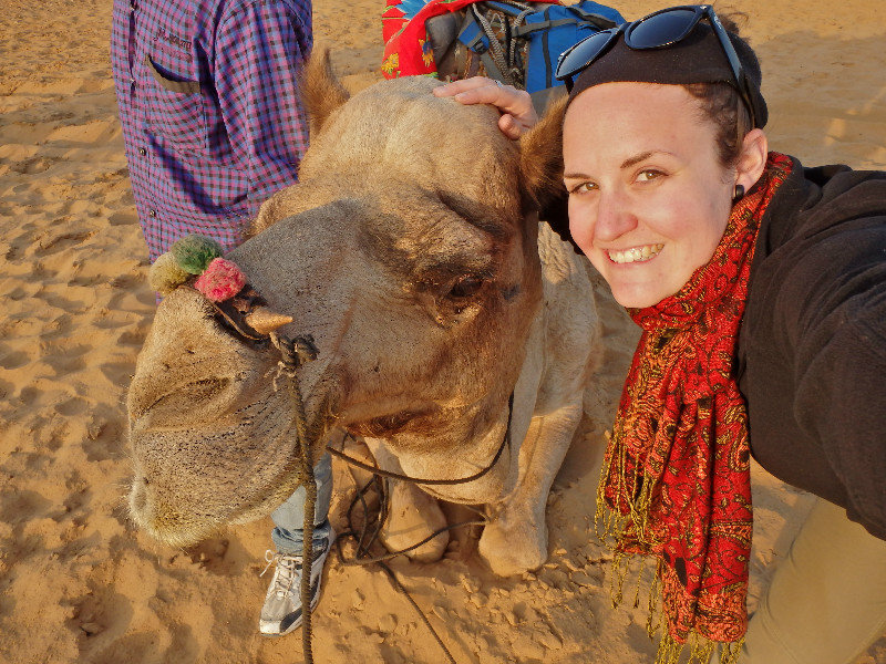 Camel Selfie!