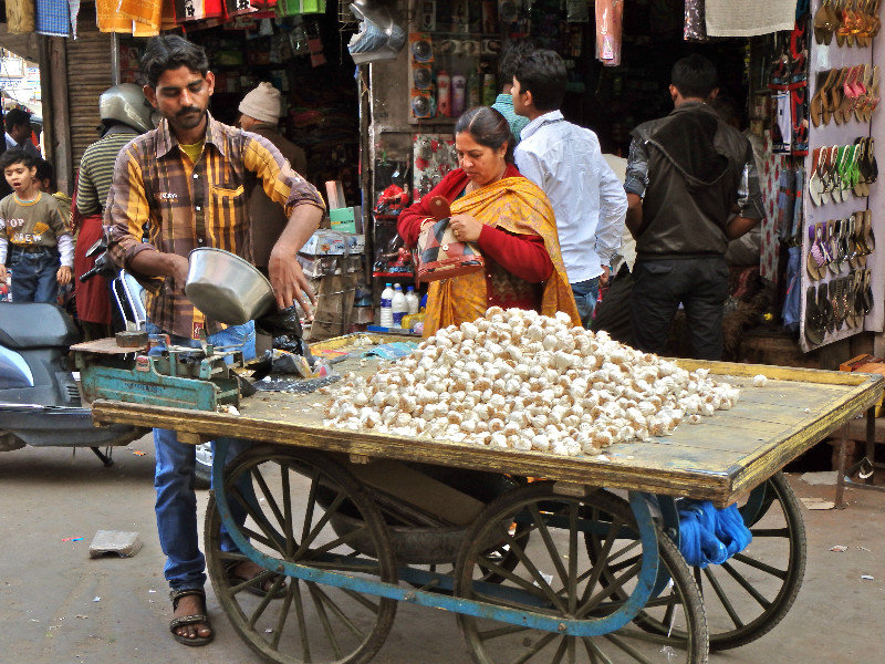 Who wants a cart full of garlic? Jodhpur bazar