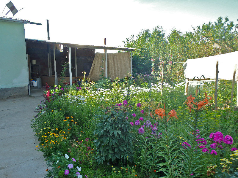 My family's gorgeous flower garden, with outdoor kitchen in the back