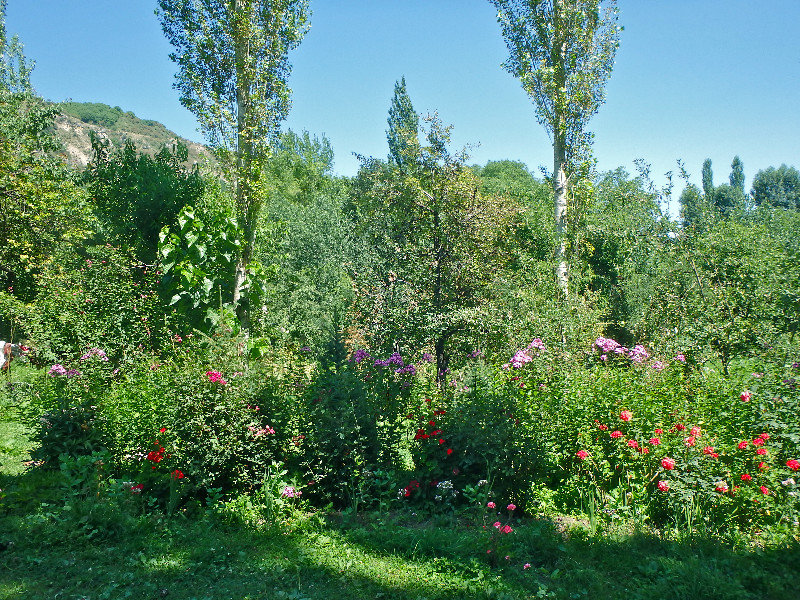 The garden of our CBT B&B