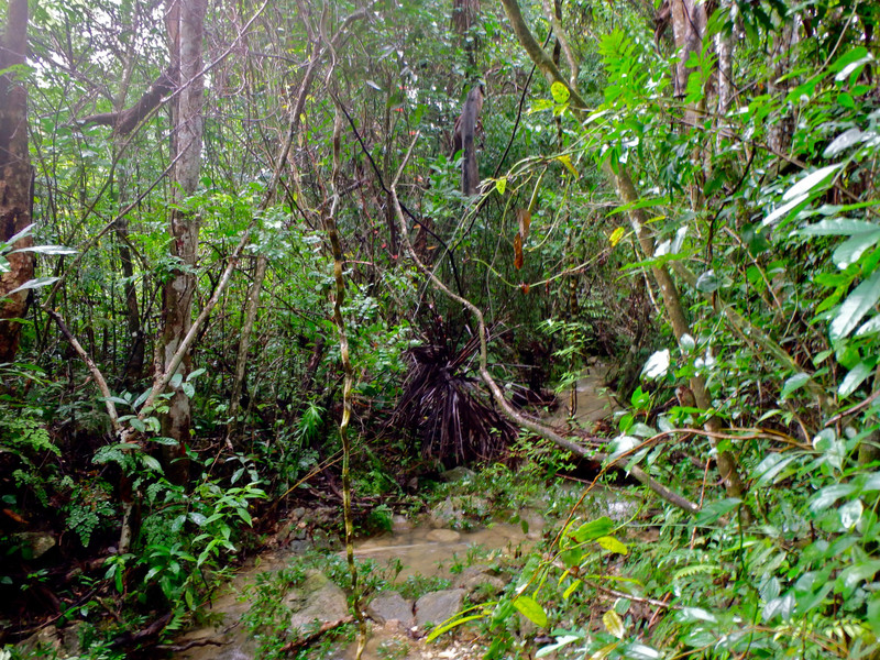 Soroa junglescape