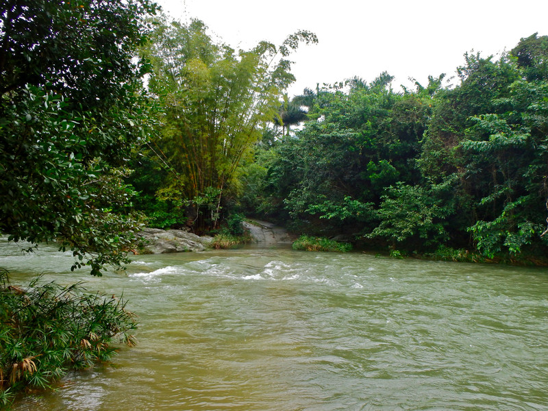 The river I did not cross, Soroa junglescape