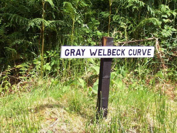 Gray Welbeck Curve