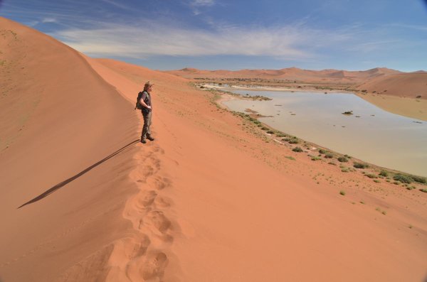 Big Daddy Dune, Namib Desert