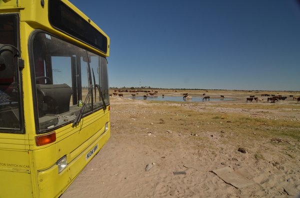 Trans Kalahari, Botswana