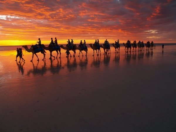 The awesome sunsets of Cable Beach, Camels Included